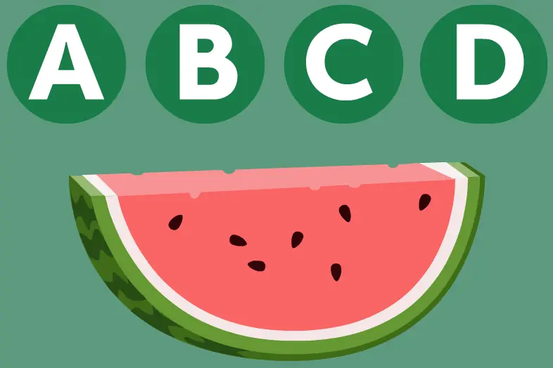ABCD Watermelon logo