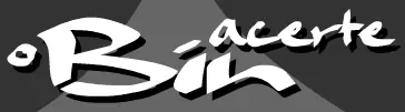 Acerte o Bin logo