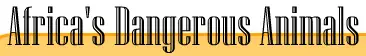 Africa's Dangerous Animals logo