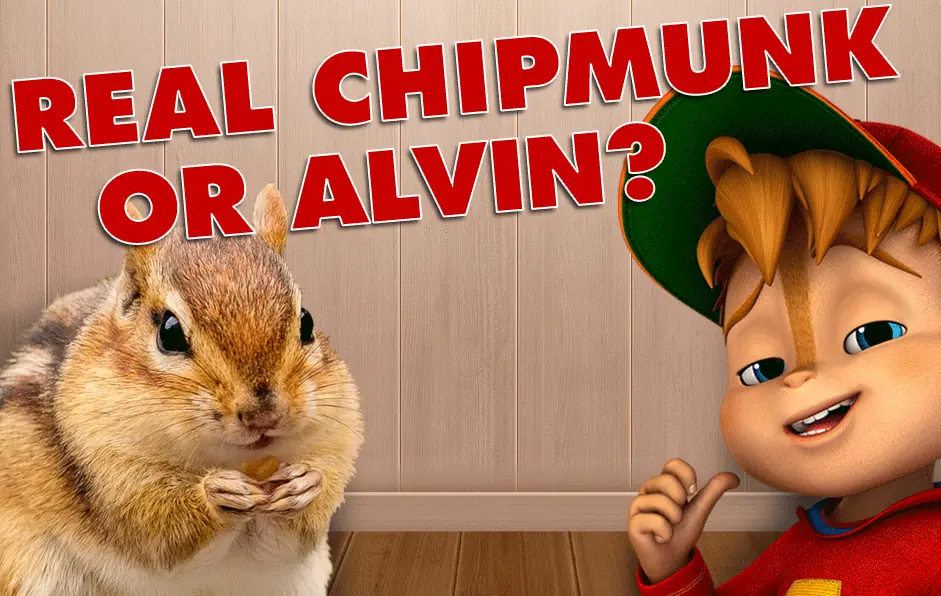 Alvinnn!!! and the Chipmunks: Real Chipmunk or Alvin? logo