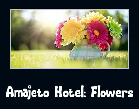 Amajeto Hotel: Flowers logo