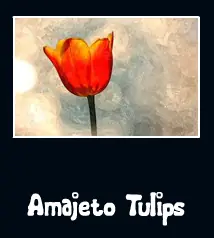 Amajeto Tulips logo
