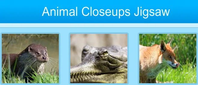 Animal Closeups Jigsaw logo