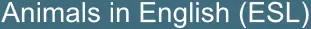 Animals in English logo