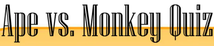 Ape Vs. Monkey Quiz logo