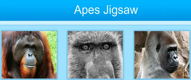 Apes Jigsaw logo