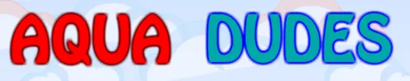 Aqua dudes logo