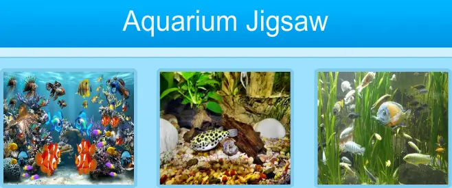 Aquarium Jigsaw logo