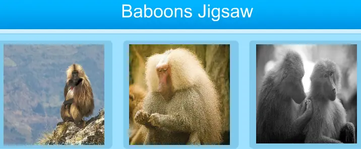 Baboons Jigsaw logo