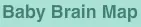 Baby Brain Map logo