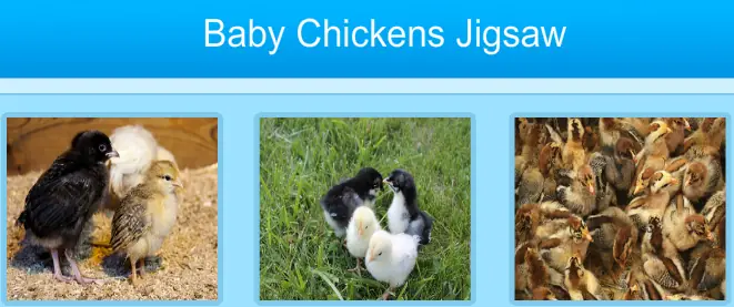 Baby Chickens Jigsaw logo