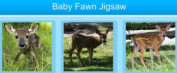 Baby Fawn Jigsaw logo
