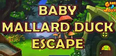 Baby Mallard Duck Escape logo