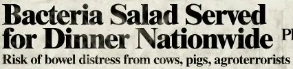 Bacteria Salad logo