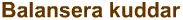 Balansera kuddar logo