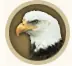 Bald Eagles logo