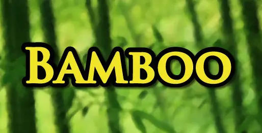 Bamboo logo