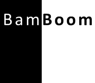 BamBoom logo