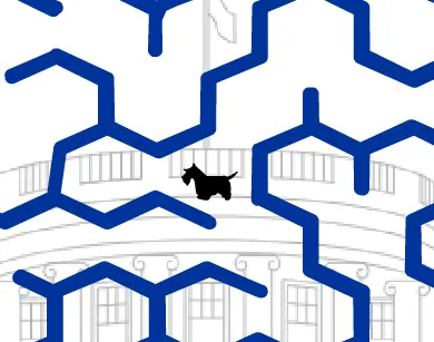 Barney & Beazley Maze logo