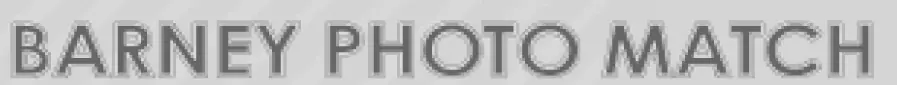 Barney Photo Match logo