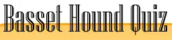 Basset Hound Quiz logo