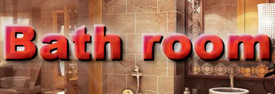 Bathroom logo
