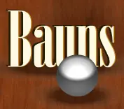 Bauns logo