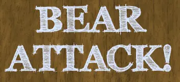 Bear Attack! logo