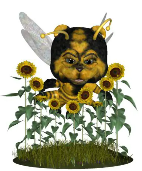 Bear Bee 7 logo