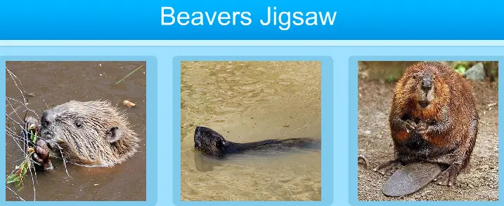 Beavers Jigsaw logo