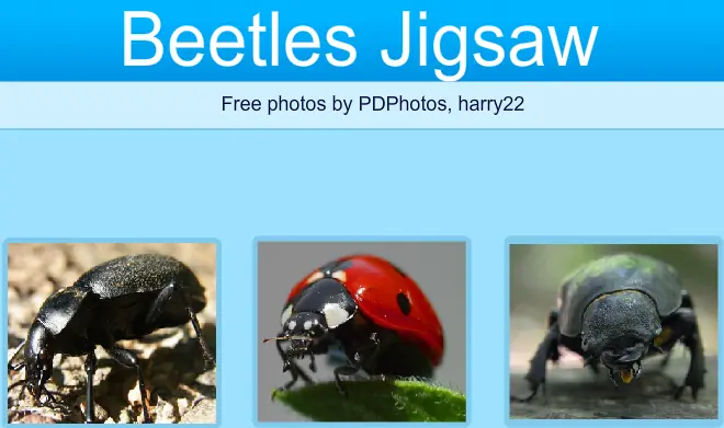 Beetles Jigsaw logo