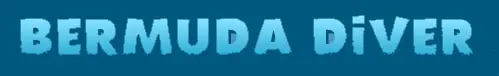 Bermuda Diver logo