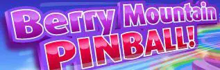 Berry Mountain Pinball! logo
