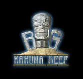 Big Kahuna Reef logo