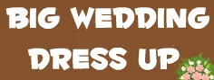 Big Wedding Dress Up logo