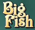 BigFish logo
