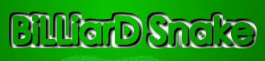 Billiard Snake logo