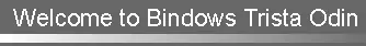 Bindows Trista Odin logo