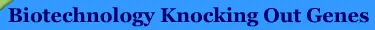 Biotechnology Knocking Out Genes logo