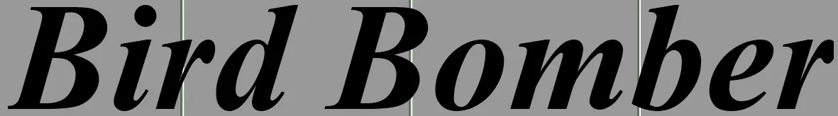 Bird Bomber logo