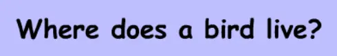 Bird Quiz logo
