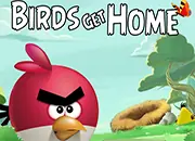 Birds Get Home logo