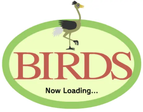 BIRDS logo