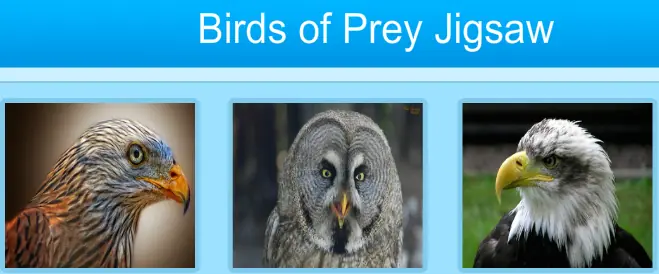 Birds of Prey Jigsaw logo