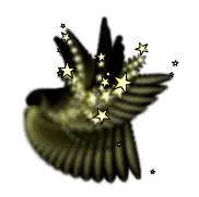 Black Hole logo
