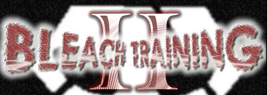 Bleach Training II logo