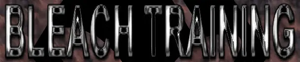 Bleach Training logo