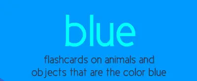 Blue flashcards logo