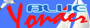 Blue Yonder logo