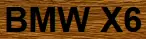 BMW X6 logo